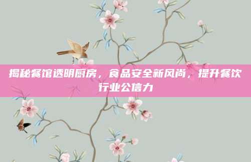 揭秘餐館透明廚房,，食品安全新風(fēng)尚,，提升餐飲行業(yè)公信力