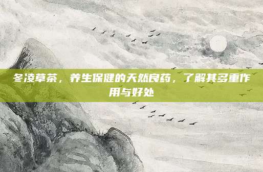 冬凌草茶，養(yǎng)生保健的天然良藥,，了解其多重作用與好處