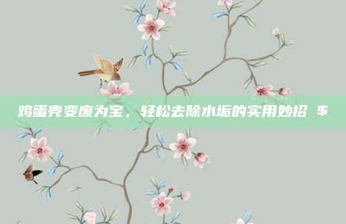 雞蛋殼變廢為寶,，輕松去除水垢的實用妙招 $