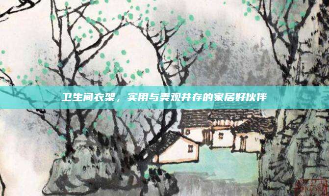 衛(wèi)生間衣架，實用與美觀并存的家居好伙伴
