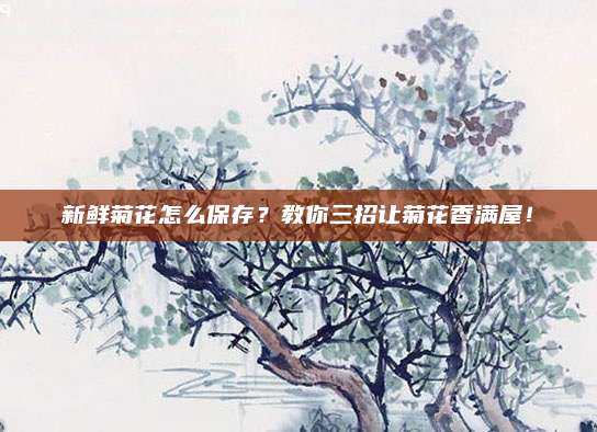 新鮮菊花怎么保存,？教你三招讓菊花香滿屋！