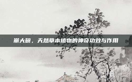 崩大碗，天然草本植物的神奇功效與作用