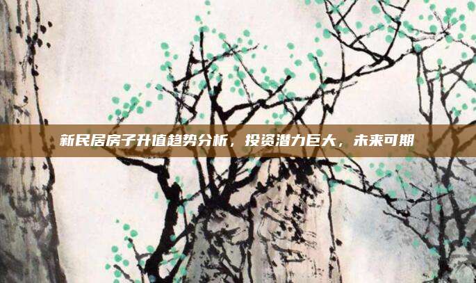 新民居房子升值趨勢分析,，投資潛力巨大，未來可期
