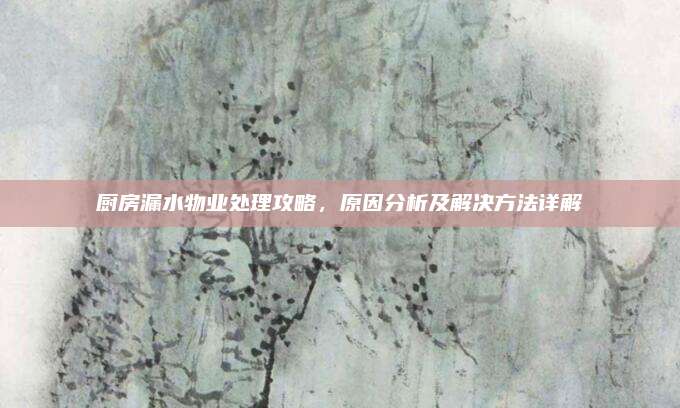 廚房漏水物業(yè)處理攻略，原因分析及解決方法詳解