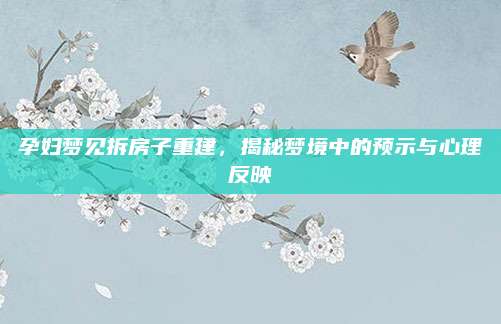 孕婦夢見拆房子重建,，揭秘夢境中的預(yù)示與心理反映