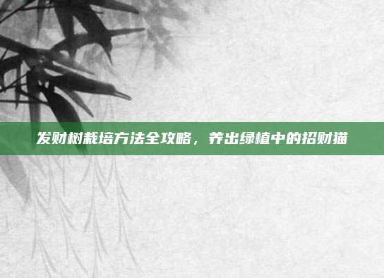 發(fā)財樹栽培方法全攻略,，養(yǎng)出綠植中的招財貓