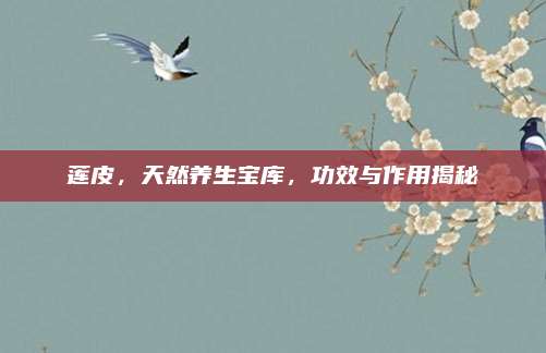 蓮皮,，天然養(yǎng)生寶庫,，功效與作用揭秘