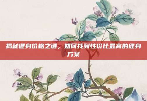 揭秘健身價格之謎,，如何找到性價比最高的健身方案
