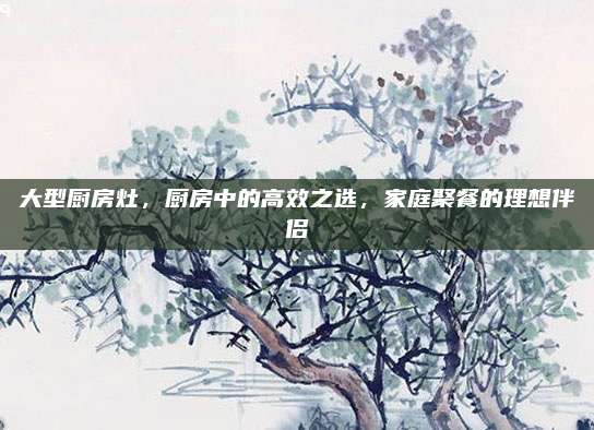 大型廚房灶,，廚房中的高效之選,，家庭聚餐的理想伴侶
