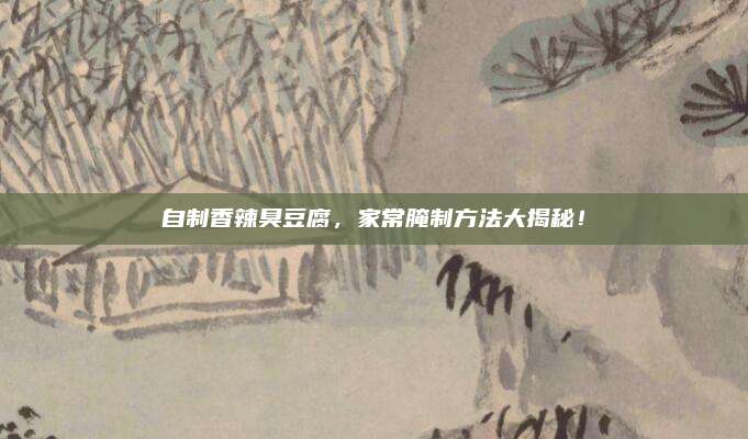 自制香辣臭豆腐,，家常腌制方法大揭秘,！