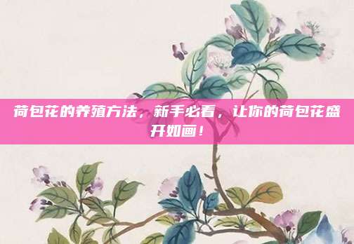 荷包花的養(yǎng)殖方法,，新手必看,，讓你的荷包花盛開如畫！