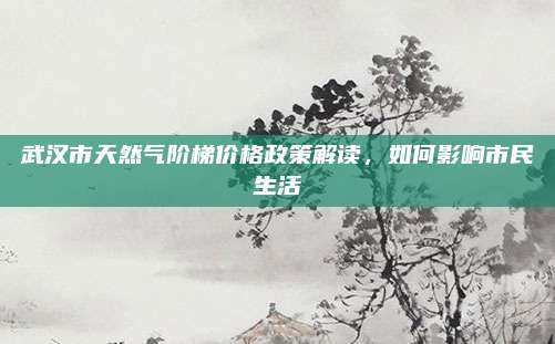 武漢市天然氣階梯價(jià)格政策解讀,，如何影響市民生活