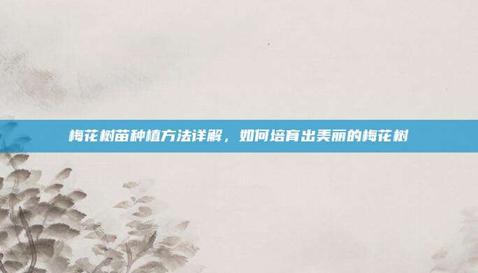 梅花樹苗種植方法詳解,，如何培育出美麗的梅花樹