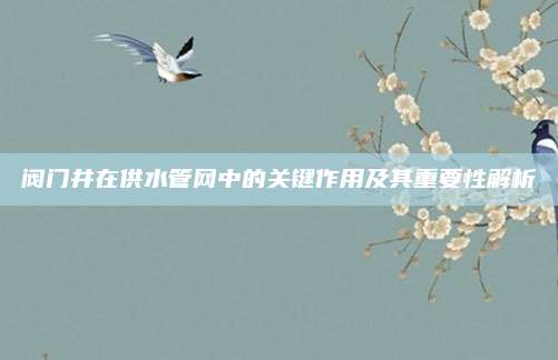 閥門井在供水管網(wǎng)中的關(guān)鍵作用及其重要性解析