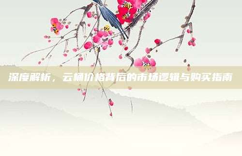 深度解析,，云桶價(jià)格背后的市場(chǎng)邏輯與購(gòu)買指南