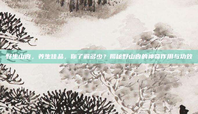 野生山杏,，養(yǎng)生佳品，你了解多少,？揭秘野山杏的神奇作用與功效