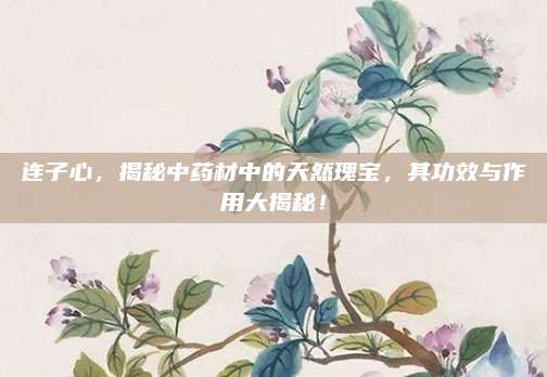 連子心,，揭秘中藥材中的天然瑰寶，其功效與作用大揭秘,！