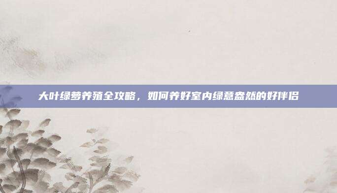 大葉綠蘿養(yǎng)殖全攻略,，如何養(yǎng)好室內(nèi)綠意盎然的好伴侶