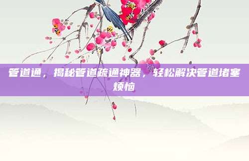 管道通，揭秘管道疏通神器,，輕松解決管道堵塞煩惱