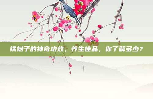 鐵樹(shù)子的神奇功效,，養(yǎng)生佳品，你了解多少,？