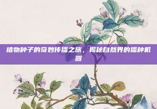 植物種子的奇妙傳播之旅,，揭秘自然界的播種機(jī)器