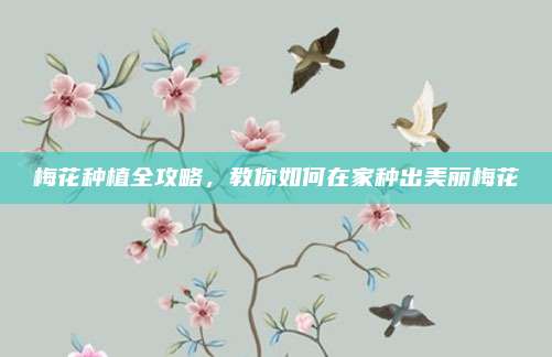 梅花種植全攻略,，教你如何在家種出美麗梅花