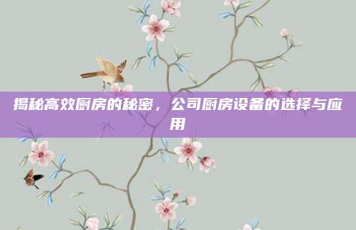 揭秘高效廚房的秘密,，公司廚房設備的選擇與應用