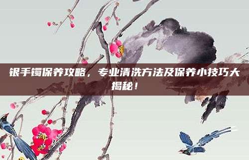 銀手鐲保養(yǎng)攻略,，專業(yè)清洗方法及保養(yǎng)小技巧大揭秘！