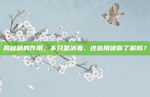 揭秘硝的作用，不只是消毒,，這些用途你了解嗎,？
