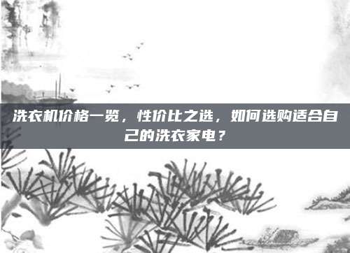 洗衣機(jī)價(jià)格一覽，性價(jià)比之選,，如何選購適合自己的洗衣家電,？
