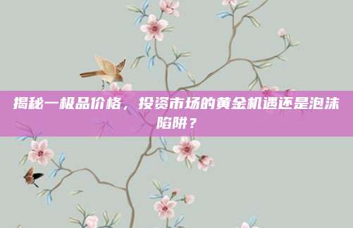 揭秘一極品價(jià)格,，投資市場(chǎng)的黃金機(jī)遇還是泡沫陷阱,？