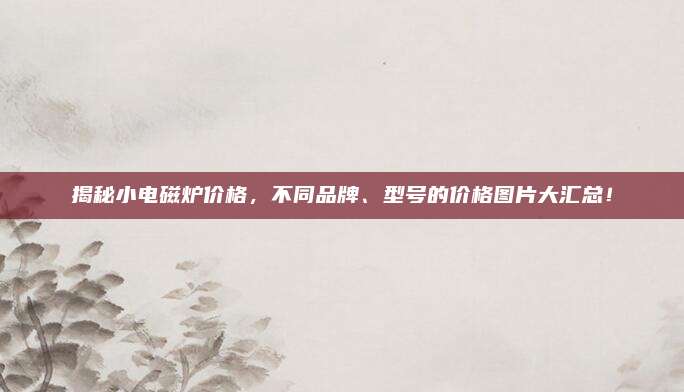揭秘小電磁爐價格,，不同品牌,、型號的價格圖片大匯總！