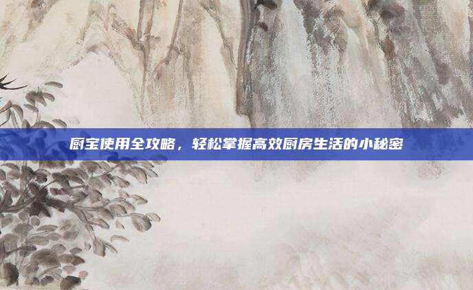 廚寶使用全攻略，輕松掌握高效廚房生活的小秘密