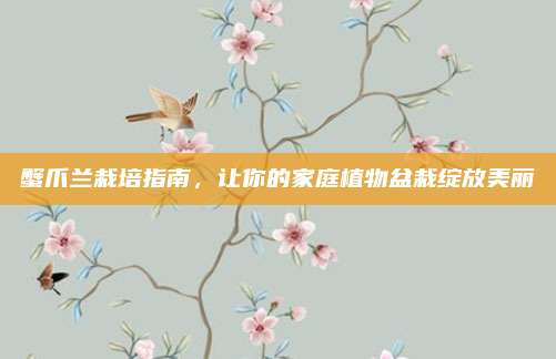 蟹爪蘭栽培指南,，讓你的家庭植物盆栽綻放美麗