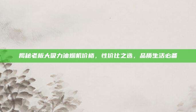 揭秘老板大吸力油煙機(jī)價格,，性價比之選，品質(zhì)生活必備