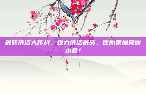瓷磚清潔大作戰(zhàn),，強力清潔瓷磚,，還原家居亮麗本色！
