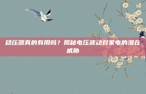 穩(wěn)壓器真的有用嗎,？揭秘電壓波動(dòng)對(duì)家電的潛在威脅