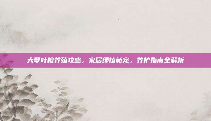 大琴葉榕養(yǎng)殖攻略，家居綠植新寵,，養(yǎng)護(hù)指南全解析
