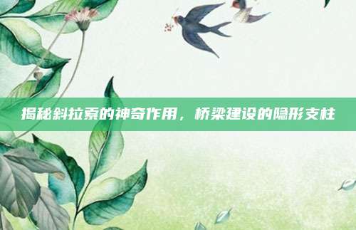 揭秘斜拉索的神奇作用,，橋梁建設(shè)的隱形支柱