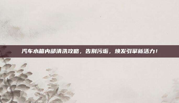 汽車(chē)水箱內(nèi)部清洗攻略,，告別污垢，煥發(fā)引擎新活力,！