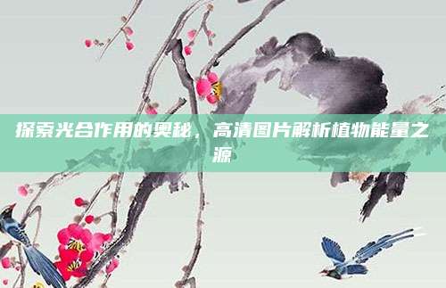 探索光合作用的奧秘,，高清圖片解析植物能量之源