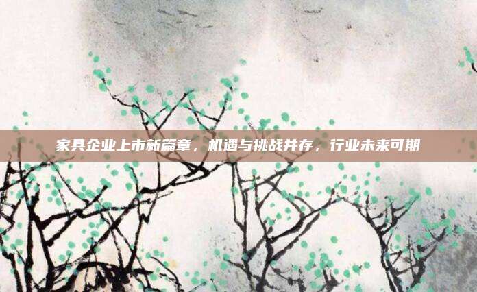家具企業(yè)上市新篇章，機(jī)遇與挑戰(zhàn)并存,，行業(yè)未來(lái)可期