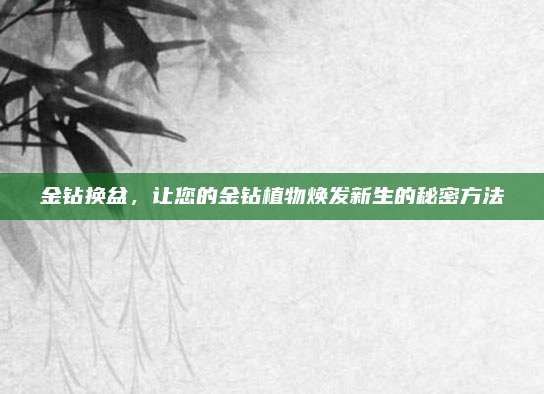 金鉆換盆,，讓您的金鉆植物煥發(fā)新生的秘密方法
