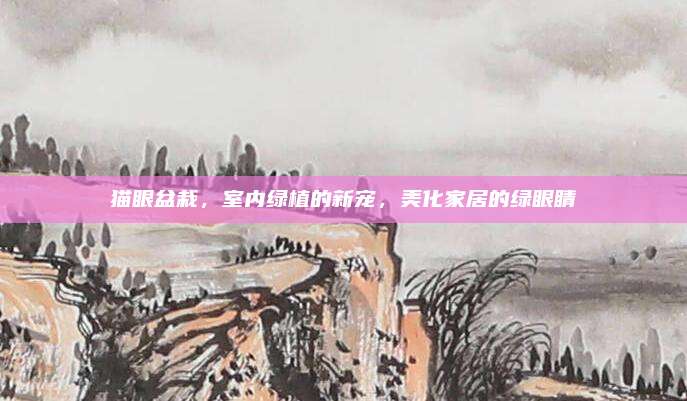 貓眼盆栽,，室內(nèi)綠植的新寵，美化家居的綠眼睛