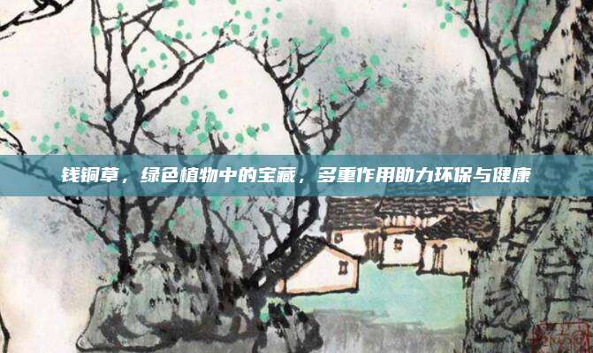錢銅草，綠色植物中的寶藏,，多重作用助力環(huán)保與健康