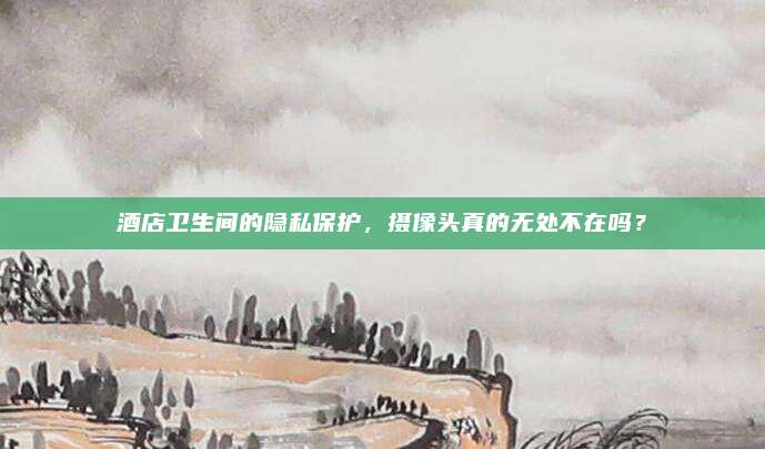 酒店衛(wèi)生間的隱私保護(hù),，攝像頭真的無處不在嗎？