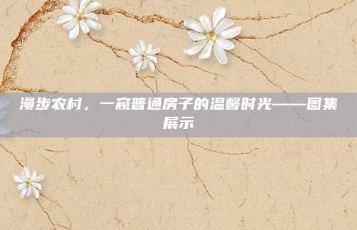 漫步農(nóng)村,，一窺普通房子的溫馨時(shí)光——圖集展示
