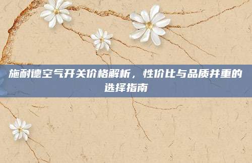 施耐德空氣開關價格解析,，性價比與品質(zhì)并重的選擇指南
