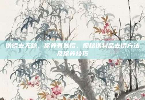 鐵銹去無蹤，保養(yǎng)有妙招,，揭秘鐵制品去銹方法及保養(yǎng)技巧