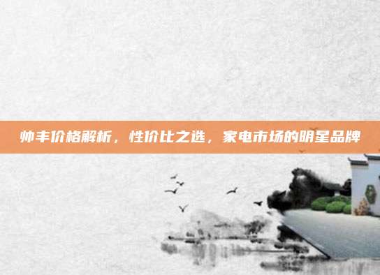 帥豐價(jià)格解析,，性?xún)r(jià)比之選，家電市場(chǎng)的明星品牌